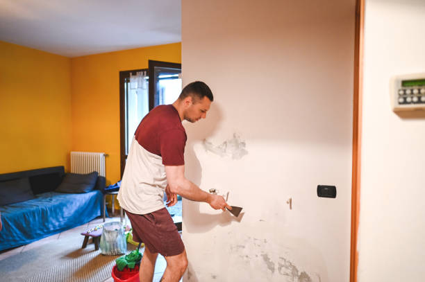 Best Home Mold Removal  in Benjamin, UT